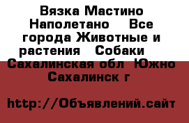 Вязка Мастино Наполетано  - Все города Животные и растения » Собаки   . Сахалинская обл.,Южно-Сахалинск г.